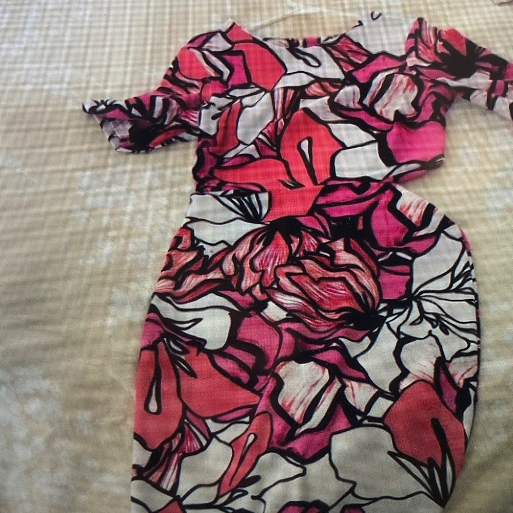 Floral Pink and Red Dress